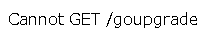 ls40error.png