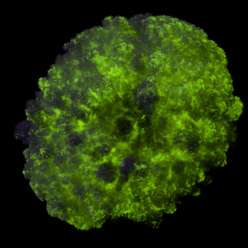 render_frame78.png