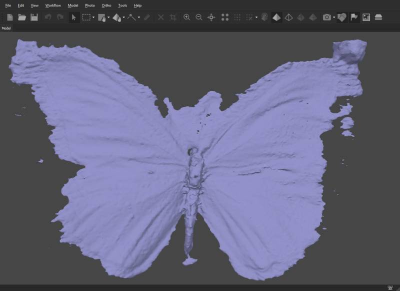 1_model_without_masking.jpg
